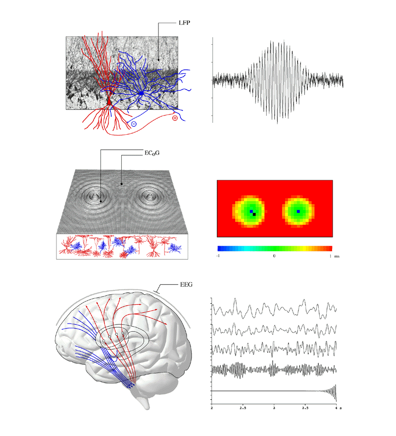 figure01- Click to view