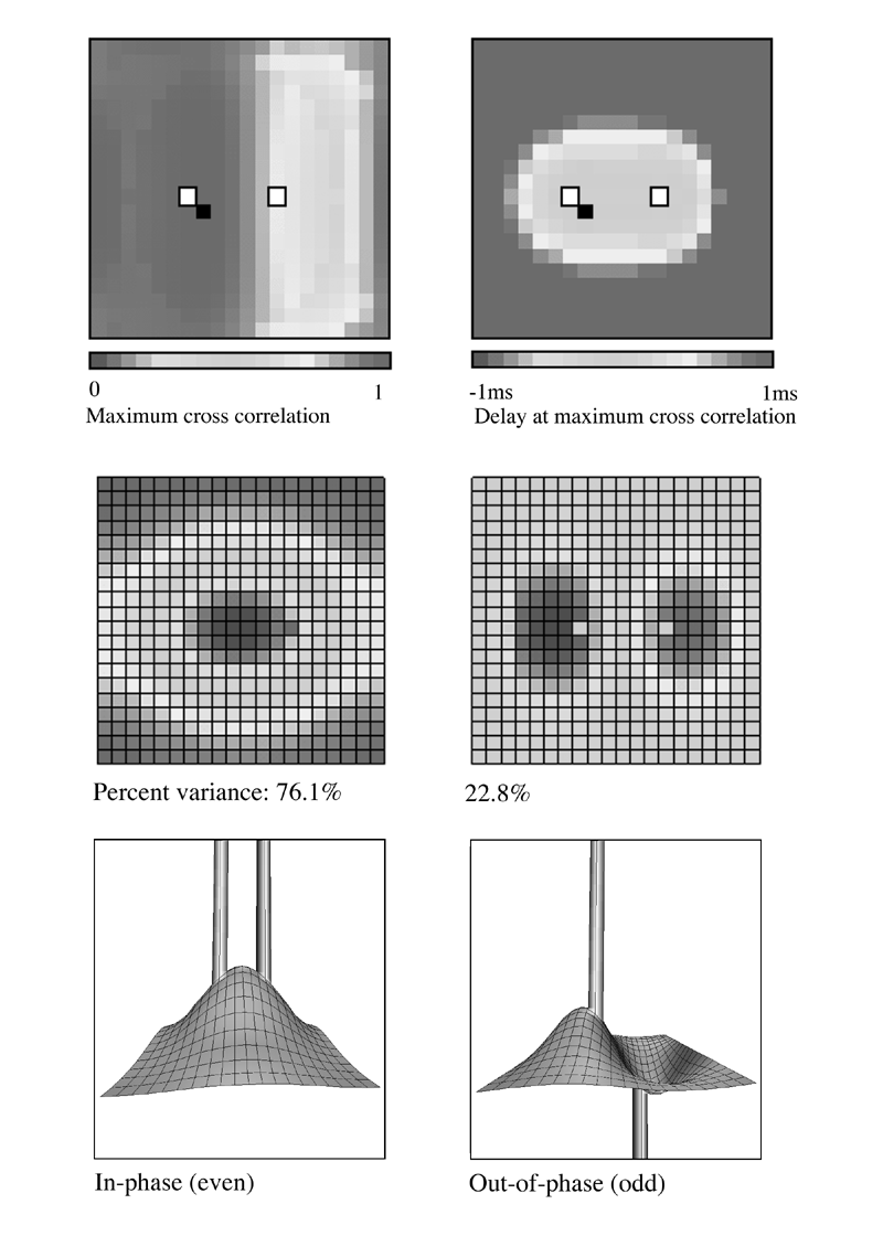 figure06- Click to view