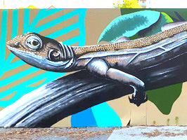 Western Australia street art