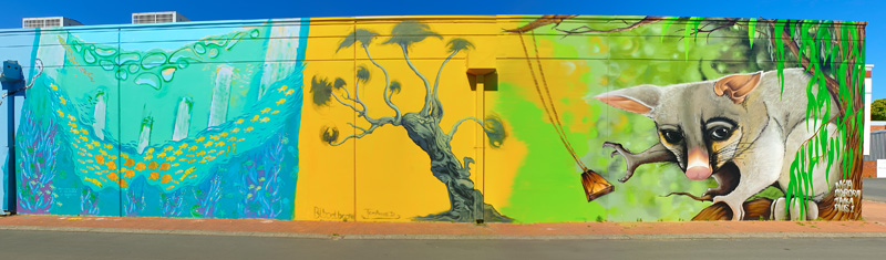 Western Australia street art