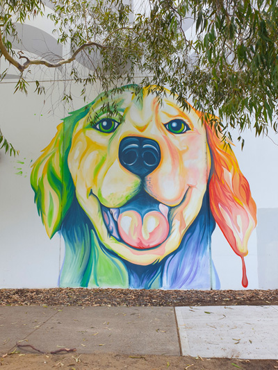 Western Australia street art