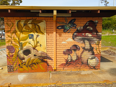 Western Australia street art