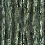 texture: bark34