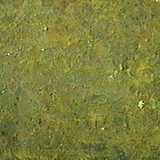 texture: greenbrass