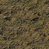 texture: dirt11