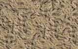 texture: dirt21