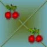 texture: berries