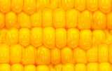 texture: corn