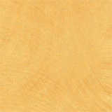 texture: gold2