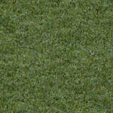 texture: grass12