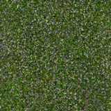 texture: grass20