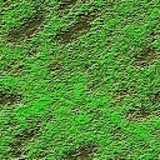 texture: grass28