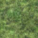 texture: grass32