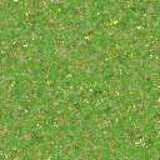 texture: grass33