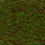 texture: grass40