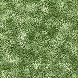 texture: grass41