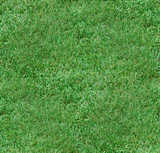 texture: grass42