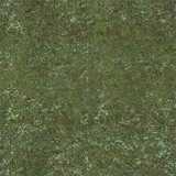 texture: grass_ground1