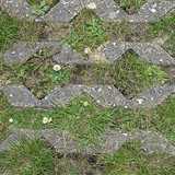 texture: grassandconcrete