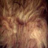 texture: tuffofhair