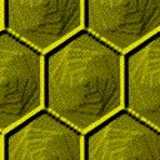 texture: hextile