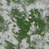 texture: ice_grass