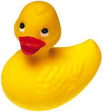 texture: duck2