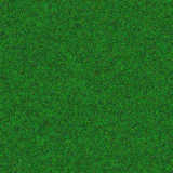 texture: smoothgrass2