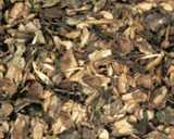 texture: groundleaf