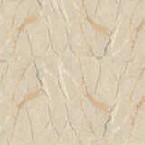 texture: valencia_marble