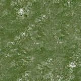 texture: moss11