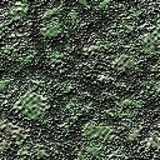 texture: moss2