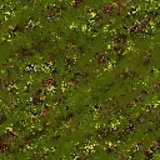 texture: moss3