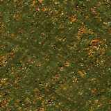 texture: moss5