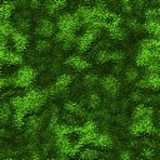 texture: moss6