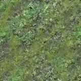 texture: moss7