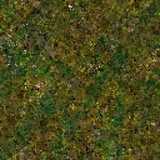 texture: moss8