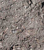 texture: dirt1