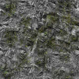 texture: cliff_plants