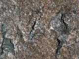 texture: rock02