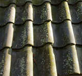 texture: roofing1
