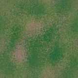 texture: greenrough2