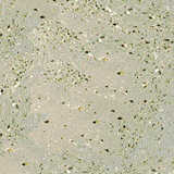 texture: beachsand2