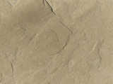 texture: sandstone1