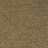 texture: skintile12