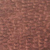 texture: windsweptskin