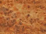 texture: burlwood