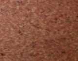 texture: wood7