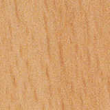 texture: cool_beech