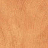 texture: karratha_brush